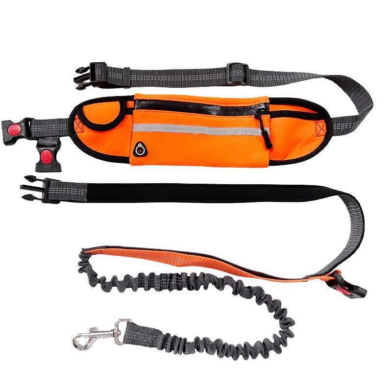 Hands-Free Dog Leash for Jogging, Hiking & Night Walks