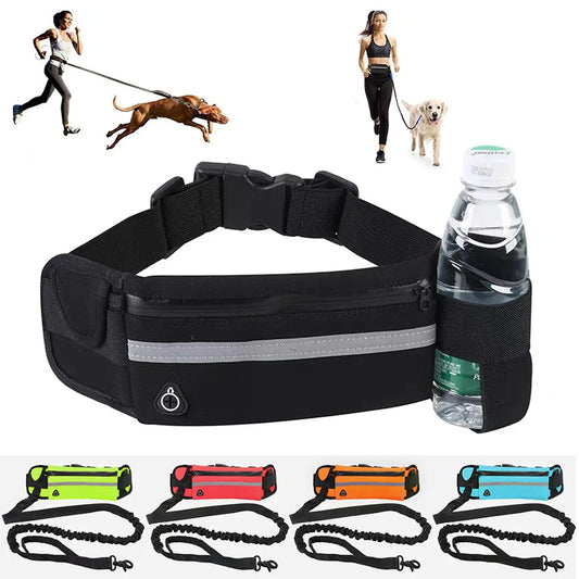 Hands-Free Dog Leash for Jogging, Hiking & Night Walks