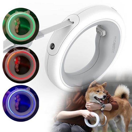 Illuminated Hands-Free Dog Leash | Safe, Durable & Convenient Night Walks
