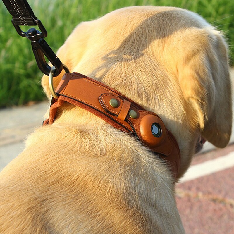Apple AirTag Dog Collar | Keep Your Dog Safe with Real-Time Tracking and Style