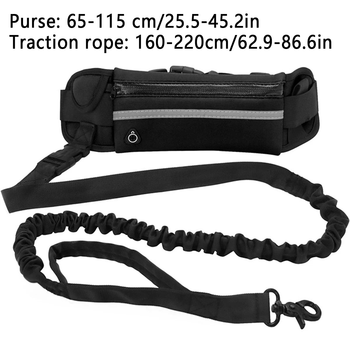 Hands-Free Dog Leash for Jogging, Hiking & Night Walks