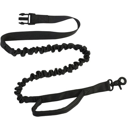 Hands-Free Dog Leash for Jogging, Hiking & Night Walks
