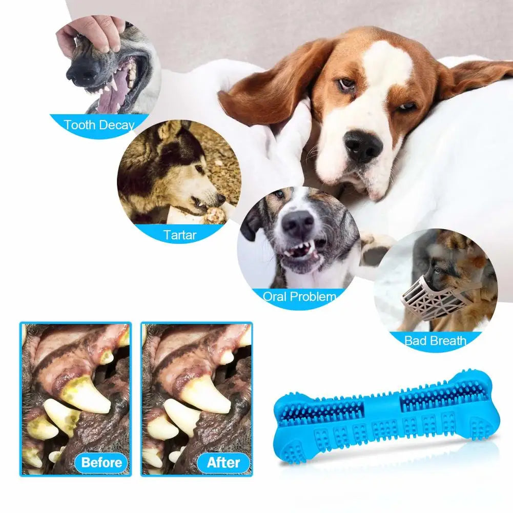 Toothbrush Dog Chew Toy | Fun Dental Care for Happier, Healthier Dogs