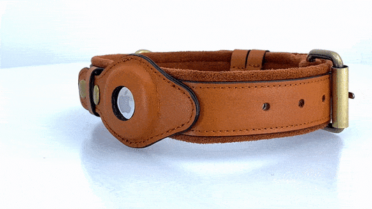 Apple AirTag Dog Collar | Keep Your Dog Safe with Real-Time Tracking and Style