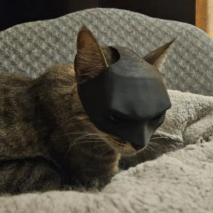 3D-Printed Bat Cat Mask – Whimsical Costume for Playful Felines