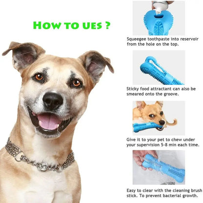 Toothbrush Dog Chew Toy | Fun Dental Care for Happier, Healthier Dogs