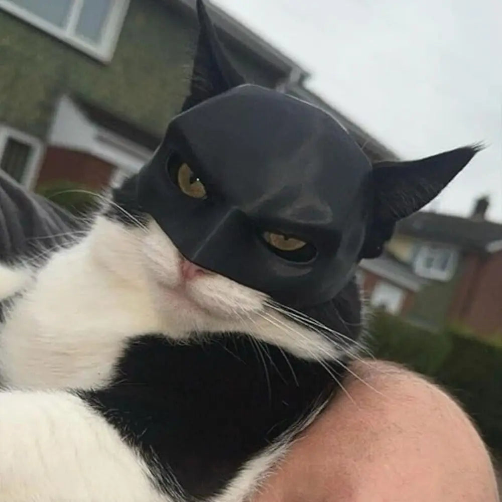 3D-Printed Bat Cat Mask – Whimsical Costume for Playful Felines