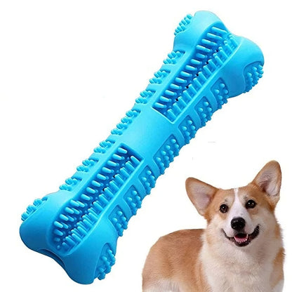 Toothbrush Dog Chew Toy | Fun Dental Care for Happier, Healthier Dogs