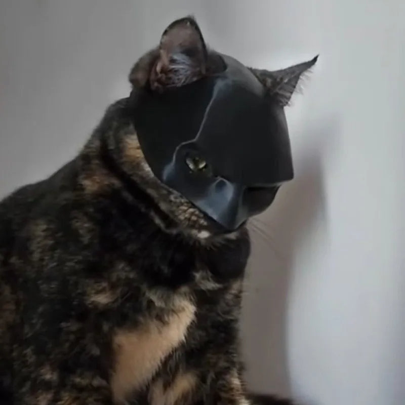 3D-Printed Bat Cat Mask – Whimsical Costume for Playful Felines