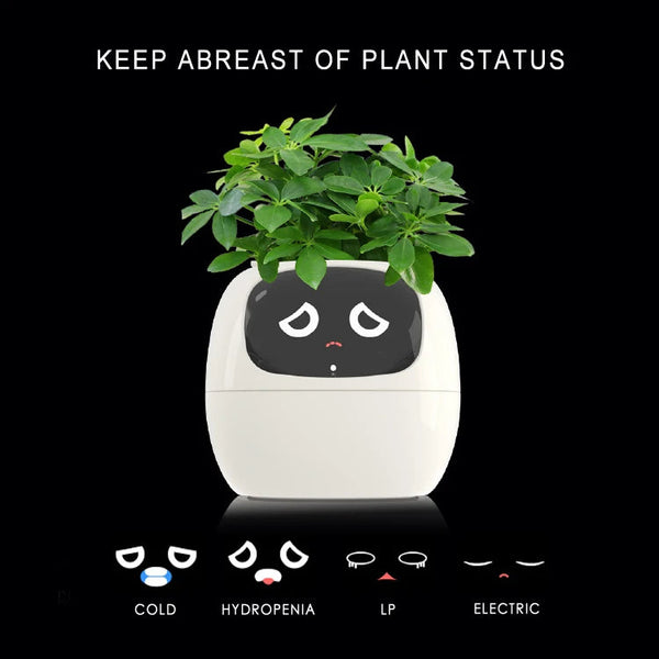 Intelligent Plant Nurturer