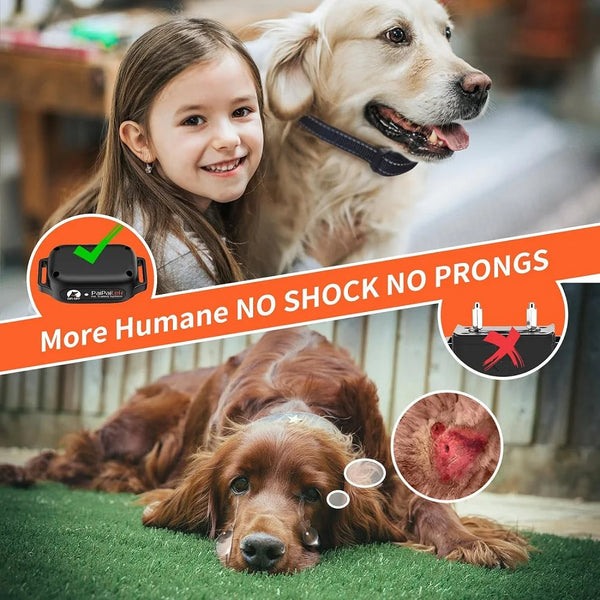 Gentle Pet Vibe Collar